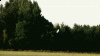 Kliknij, aby zobaczyæ. pawel_skrz_t1.gif