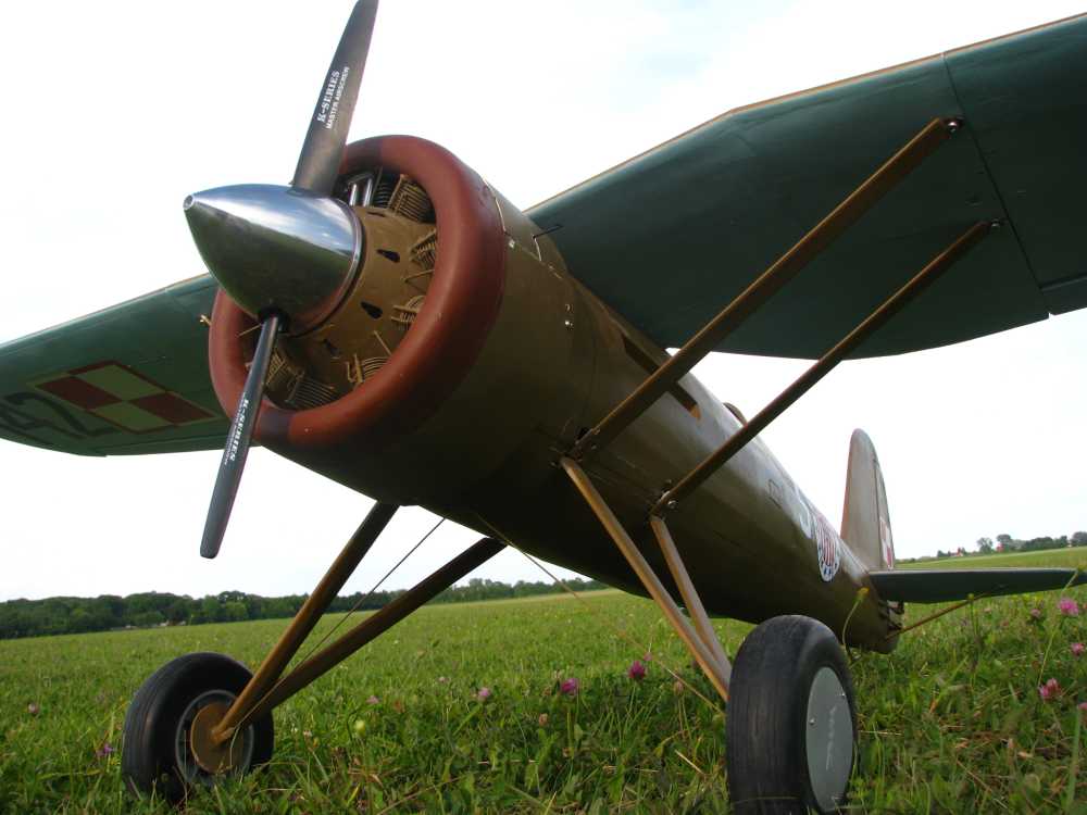 rcplock.pl/robloz/P-24/3.jpg